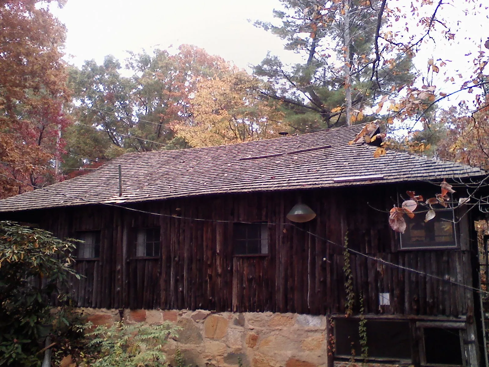 Weathered wood shake roof on a rustic board sided cabin in Lucile